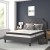 Flash Furniture SL-BM10-15-GG Queen Size Tufted Upholstered Platform Bed, Dark Gray Fabric with 10" Pocket Spring Mattress addl-1